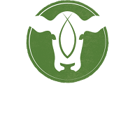 Ichthys Cattle Enterprise